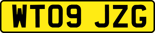 WT09JZG