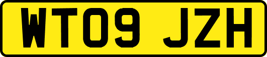 WT09JZH