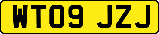 WT09JZJ