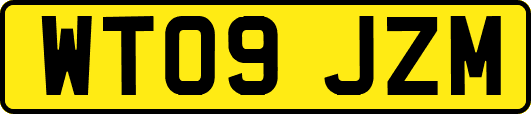 WT09JZM