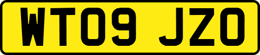 WT09JZO