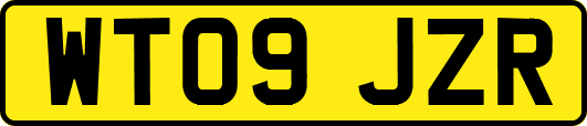 WT09JZR