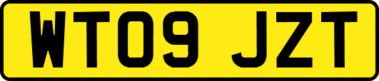 WT09JZT