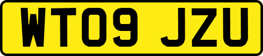 WT09JZU