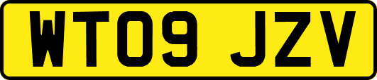 WT09JZV