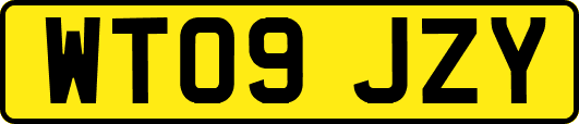 WT09JZY