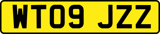 WT09JZZ