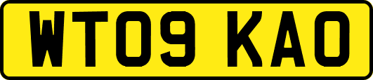 WT09KAO