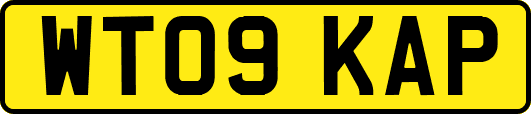 WT09KAP