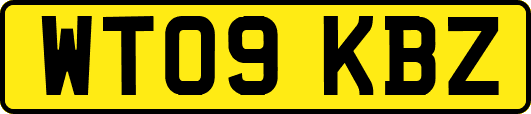 WT09KBZ