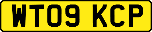 WT09KCP