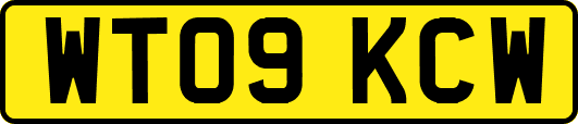 WT09KCW