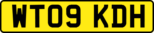 WT09KDH