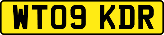 WT09KDR