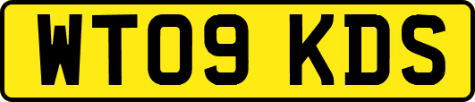 WT09KDS