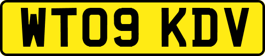 WT09KDV