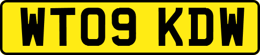WT09KDW