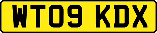 WT09KDX