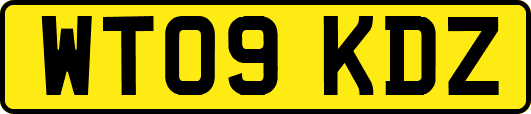WT09KDZ