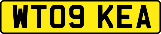 WT09KEA