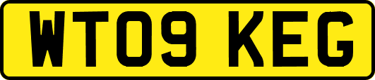 WT09KEG