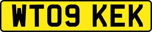 WT09KEK