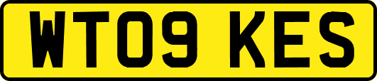 WT09KES