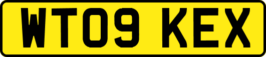 WT09KEX