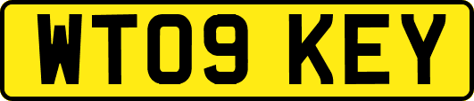 WT09KEY