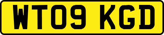 WT09KGD
