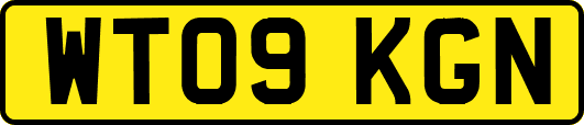 WT09KGN
