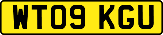 WT09KGU