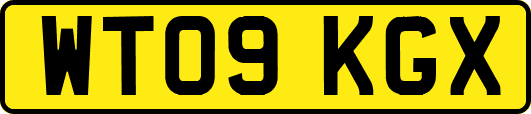 WT09KGX