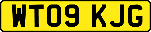 WT09KJG