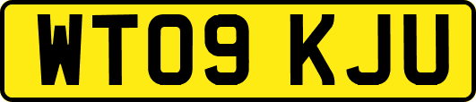 WT09KJU