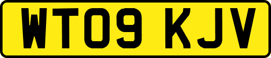 WT09KJV