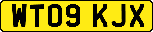 WT09KJX