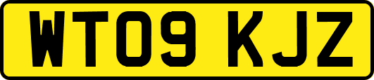 WT09KJZ