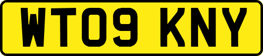 WT09KNY
