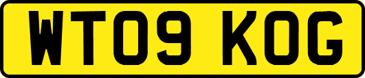 WT09KOG