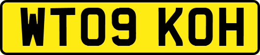 WT09KOH