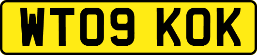 WT09KOK