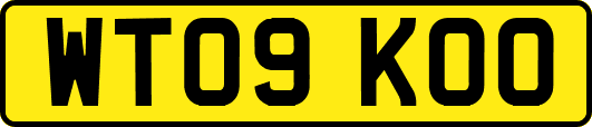 WT09KOO
