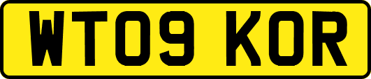 WT09KOR