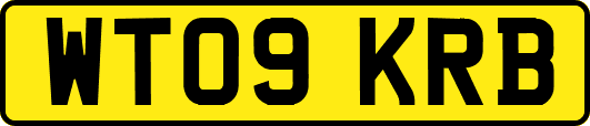 WT09KRB