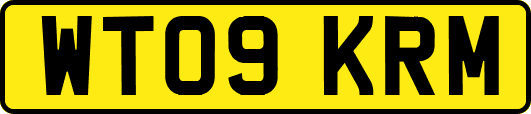WT09KRM