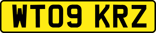 WT09KRZ