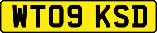 WT09KSD