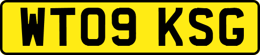 WT09KSG