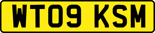 WT09KSM